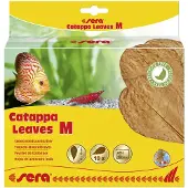 Sera Catappa Leaves M 16 - 20 cm