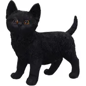 Nemesis Now - Gothic Decoratieve Artikelen - Charmed Companion - voor Geen - standaard | Maat Standard