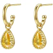 Hey Happiness Oorbellen 'November Birthstone' goud