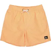 Quiksilver Everyday Deluxe Volley 14´´ Zwembroek