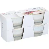 Alpina sport Ovenschaaltjes 210 ml – Set met 4 Kleine Oven Schaaltjes 10,2cm – Borrel Bakjes – Souffle Schaaltjes - Vaatwasserbestendig