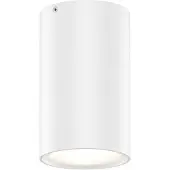 Wever & Ducre Tram Outdoor Plafondlamp White Matt