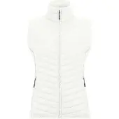 Regatta Dames/Dames Andreson Hybride Gilet (Wolk)