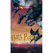 Rubinstein Harry Potter en de orde van de Feniks