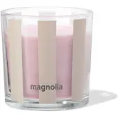 HEMA Geurkaars In Glas⌀10x10cm Magnolia (lichtroze)