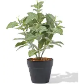 HEMA Kunstplant ⌀10x10cm Rechtop (groen)
