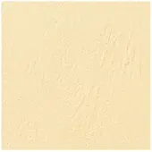 GBC CE040065 Leathergrain bindomslag 250 grams ivoor (100 stuks)