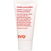 Evo Mane Attention Protein Treatment