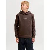JACK&JONES JUNIOR Junior Sweatshirt 'JORNorrebro' chocoladebruin / wit