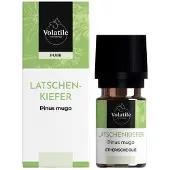 Volatile Latchenkiefer