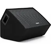SubZero C10M 10" 350W Passive Stage Monitor