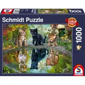 Schmidt - Legpuzzel - Dream Big! - 1000 stukjes - Volwassenen - vanaf 12 jaar