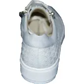 Solidus 32004