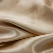 Silk Heaven 2x Zijden Kussensloop 50x70cm Donker Champagne Ritssluiting 22 Momme - Kussensloop set - Luxe Silk Kussensloop 100% moerbei zijde - Zijde kussensloop - - 50x70cm / Ritssluiting