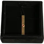 Dolce&Gabbana Gouden Stropdasclip met Robijnaccent