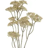 Gasper duizendblad Achillea beige 73 cm - kunstbloem