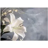 WALLARENA - Fotobehang - 200x140 cm - bloemen abstractie lelies slaapkamer salon vliesbehang