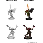 WizKids Dungeons and Dragons Nolzur's Marvelous Miniatures: Dragonborn Fighter, Female