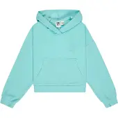 Roxy Surfing By Daylight Rg Hoodie