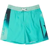 Quiksilver Everyday Holmes Volley 16´´ Zwembroek