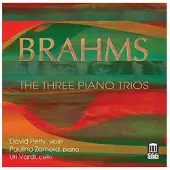 OUTHERE David Perry, Paulina Zamora & Uri Vardi - Brahms: The 3 Piano Trios (2 CD)