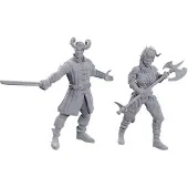 WizKids D&D Nolzur's prachtige miniaturen: speciale editie Baldur's Gate 3 (Wyll & Karlach)