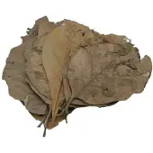 CeramicNature teakbladeren plantaardig bruin 10 stuks
