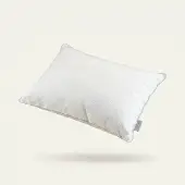 Cloud Nine Hoofdkussen - Veren Cool Touch Technology 50 x 70 cm