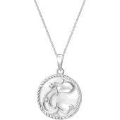 Hey Happiness Ketting 'Aquarius' zilver