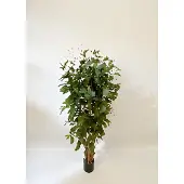 Oosterik Home Dracaena surculosa 150 cm kunstplant