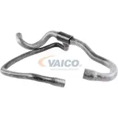 VAICO V30-2417 Radiateurslang