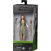 Hasbro Leia Return Of The Jedi Prinses Ewok Dorp Black Series Figuur