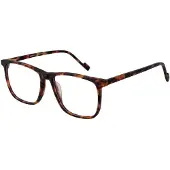 Funky Buddha Brilrand FBD1073 003 56