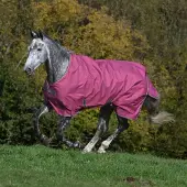 Bucas Freedom Turnout Raspberry-145 / 195-300 gr.-Framboos