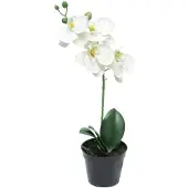 Buitengewoon Boet Phalaenopsis bora in pot white 35 cm kunstplant
