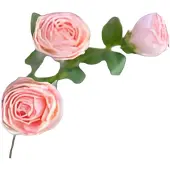 Buitengewoon Boet Roze 3 knopen roze Buitengewoon de Boet