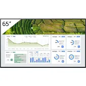 Sony 65" Pro BRAVIA LCD 440nit (3840 x 2160 Pixels, 65"), Digitale bewegwijzering, Zwart