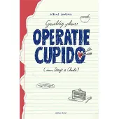 Lemniscaat Operatie Cupido