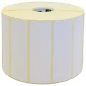 TSC DT-S100036LL labels 100 mm x 300 m (origineel)