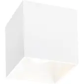 Wever & Ducre Box Outdoor LED Plafondlamp White Matt | 3000 K