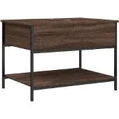 vidaXL Salontafel 100x50x50 cm bewerkt hout en metaal bruineikenkleur