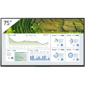 Sony 75" Pro BRAVIA LCD 440nit (3840 x 2160 Pixels, 75"), Digitale bewegwijzering, Zwart