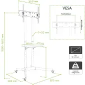 Techly ICA-TR6 Mobiele TV Stand 30-65" tot 60kg verstelbare AV-plank