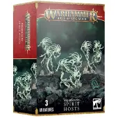 Games Workshop Warhammer Age of Sigmar: Nighthaunt: Spirit Hosts (93-08)