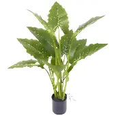 Oosterik Home Allocasia groen 80 cm kunstplant