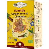 Shoti Maa gember, venkel & kaneel thee BIO - 38.4 - Biologisch