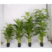 Oosterik Home Mini palm 150 cm kunstplant