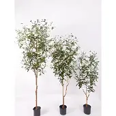 Oosterik Home Olijfboom 150 cm kunstplant
