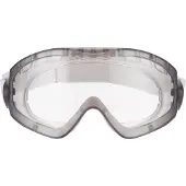 3M 2890 ruimzichtbril