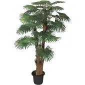 Brulo Palmboom 180 cm